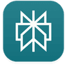 Perplexity logo